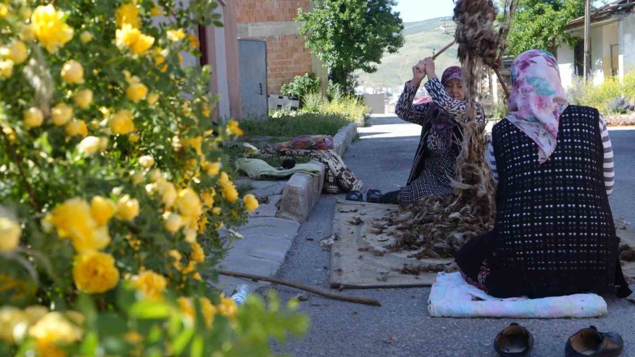 Kollar sağlık için sıvandı: Bayburtlu kadınların yün çırpma mesaisi başladı