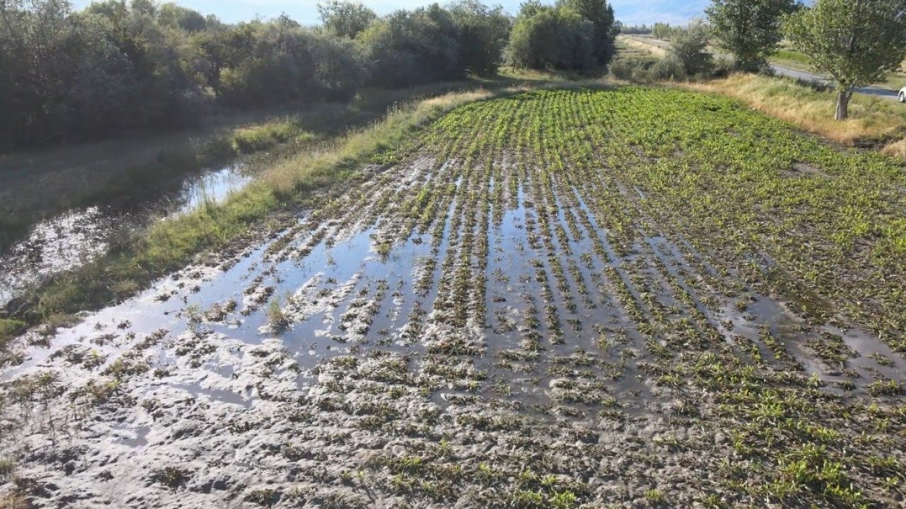 Erzincan’da çiftçilerin kanal isyanı: "Bir senenin emeği sular altında kaldı"