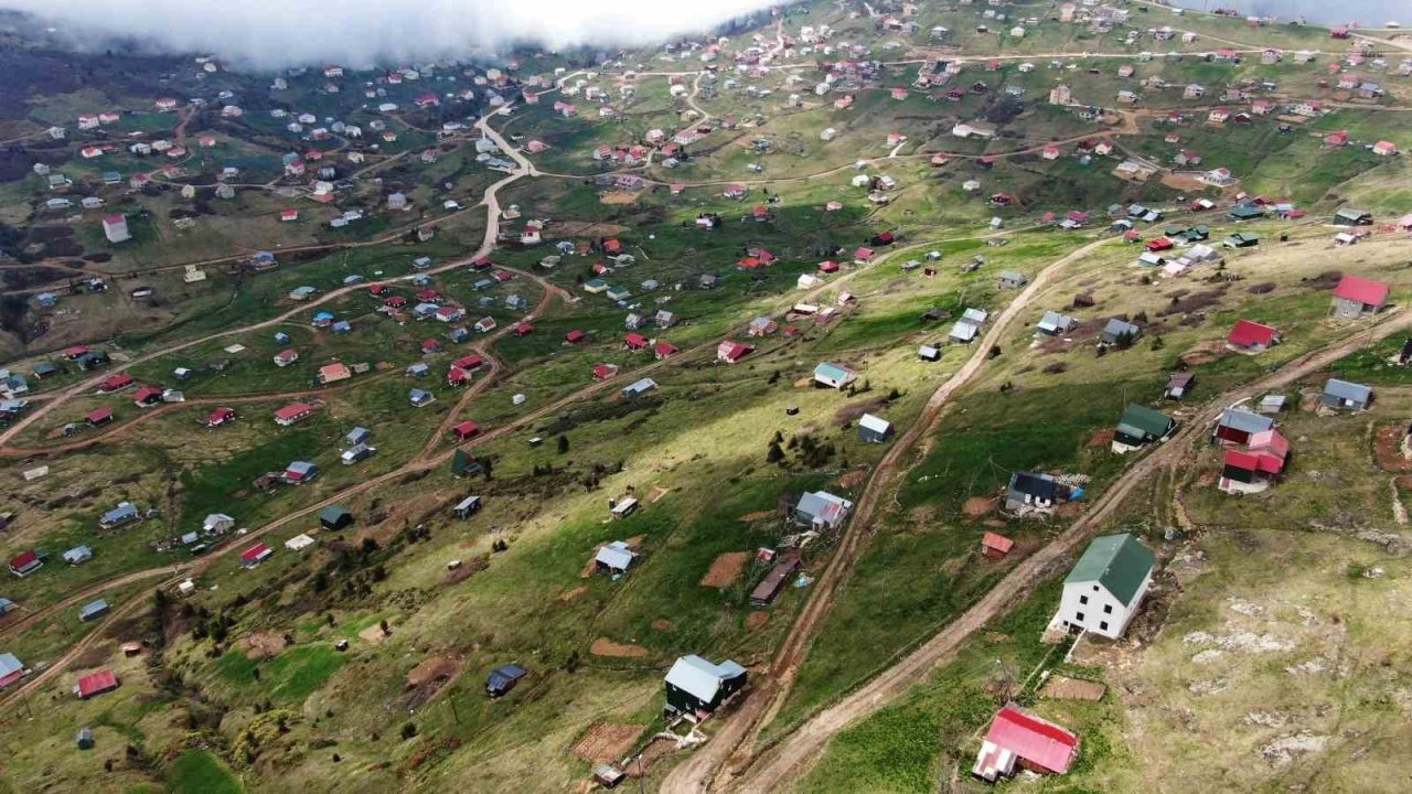 Doğu Karadeniz’deki yaylalar kaçak betonlaşma tehdidi altında