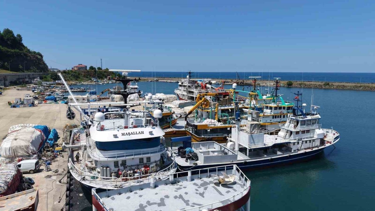Karadeniz’de balıkçılar yeni av sezonundan umutlu: Palamut görüldü, hamsi bekleniyor