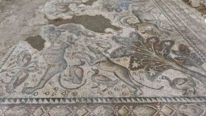Hayvan figürleriyle dolu bin 700 yıllık Roma mozaiği, burjuva yaşamının izlerini taşıyor