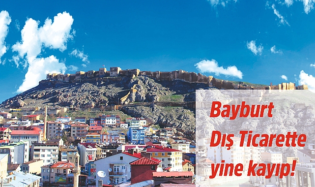 Bayburt'un Temmuz ayı dış ticaret rakamları belli oldu