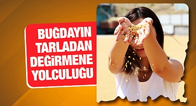 Buğdayın tarladan değirmene yolculuğu