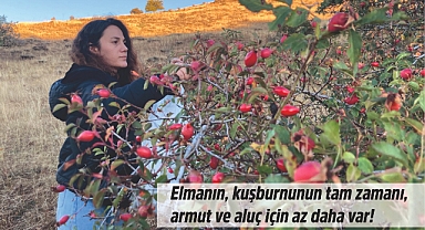 Bayburt dağlarının bereketi