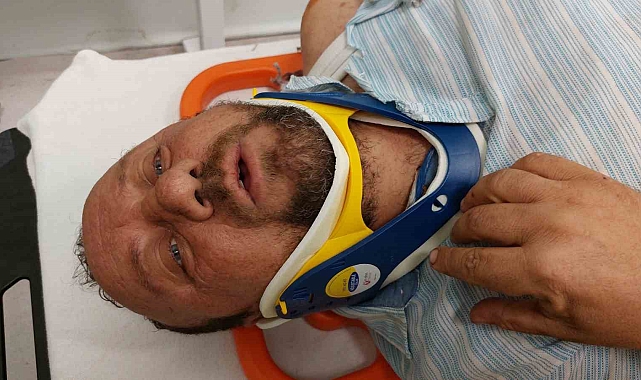 Boynunu arı sokan tır sürücüsü aracını devirince kazada hastanelik oldu