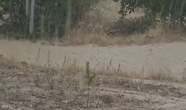 Elazığ'da sağanak yağış sele neden oldu