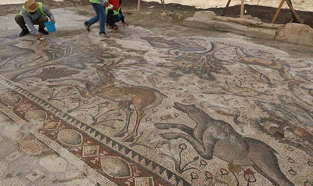 Türkiye'de bir ilk: Tek parça halinde 84 metrekarelik mozaik gün yüzüne çıkarıldı