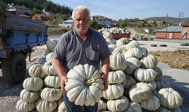 25 yıl önce deneme amaçlı ektiler, şimdi 40 şehre satıyorlar