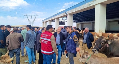 Canlı hayvan pazarında çiftçilere yönelik bilgilendirme yapıldı
