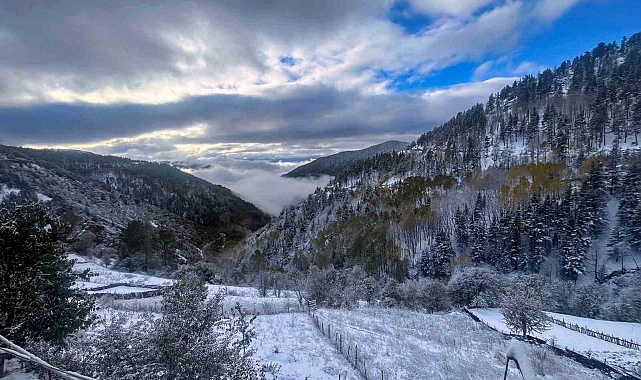 Gümüşhane'de kar ve sis buluştu ortaya tablo gibi bir fotoğraf çıktı