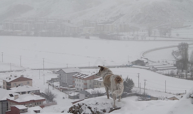 Bayburt için kar yağışı uyarısı