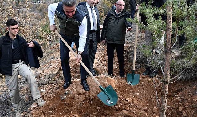 Gümüşhane'de binlerce fidan toprakla buluştu