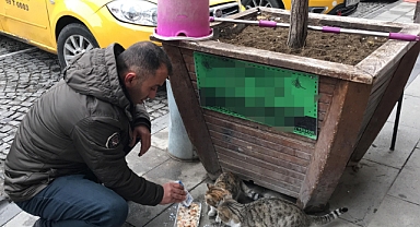 Kedileri beslemeden iş başı yapmıyor