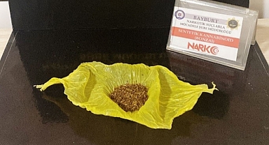 Bayburt'ta bonzai ele geçirildi