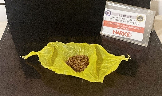 Bayburt'ta bonzai ele geçirildi