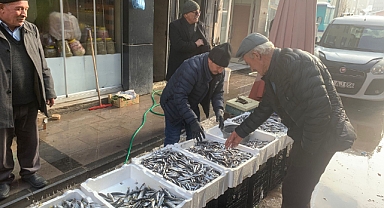 Bayburt’ta tezgahların gözdesi hamsi
