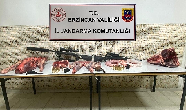 Erzincan'da susturucu kullanarak dağ keçilerini kaçak avlayan 4 kişiye 692 bin 192 TL ceza kesildi
