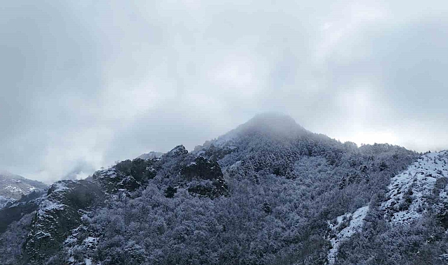 Ilgaz Dağı'nın eteklerinde buluşan kar ve sis mest etti