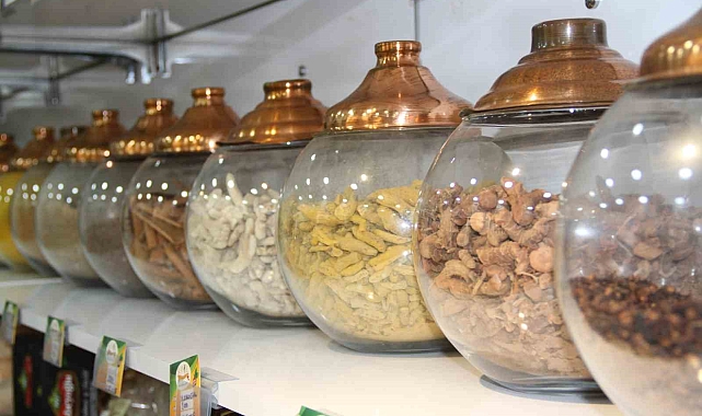 Bağışıklığa doğal kalkan 'kış çayı'