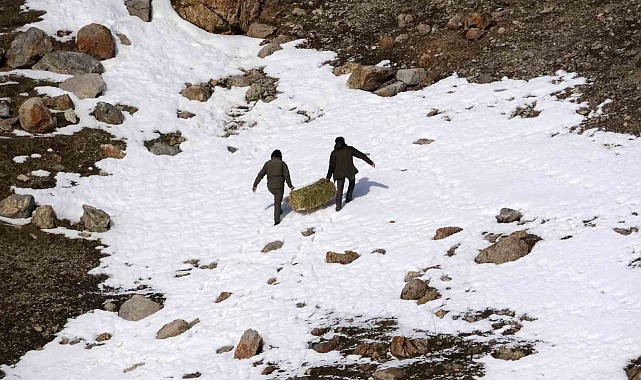 Uzmanlar uyardı: "Yaban hayvanlarına bilinçsiz yem bırakmayın"