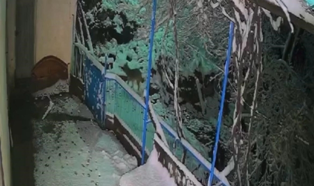 Elazığ'da çakalın tepsiyi çalma anı kamerada