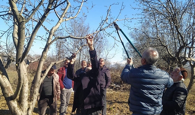 Erzincan çiftçisine 'budama' uyarısı