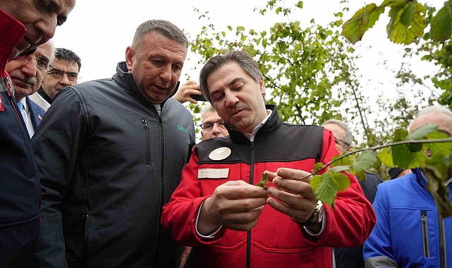 Bakan Yardımcısı Bağcı: "Cumhuriyet tarihinin en büyük zirai don hadisesi"
