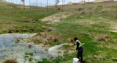 Belediye ilaçlama çalışması başlattı