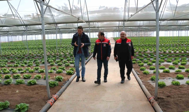 Erzincan seralarında yılda 3 ürün dönemi