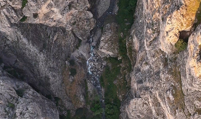 Erzincan'da kanyonlarla bütünleşen yaban keçileri
