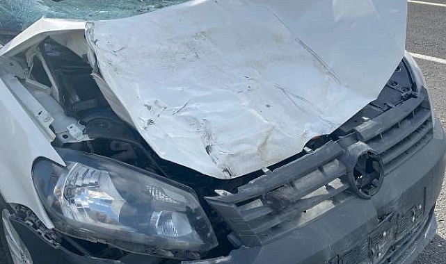 İneğe çarpan otomobilin sürücüsü hayatını kaybetti