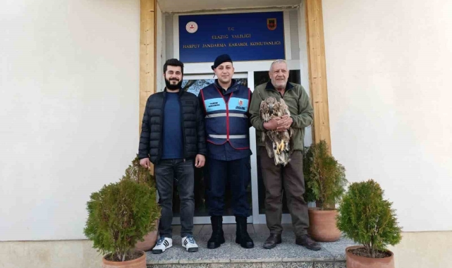 Yaralı kaya kartalına jandarma şefkati
