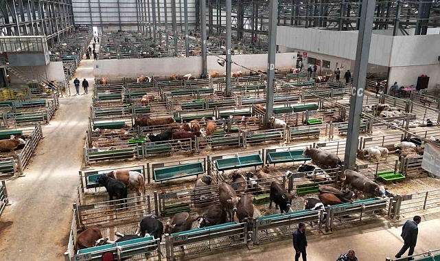 5 yılda 2 milyon kişi ziyaret etti