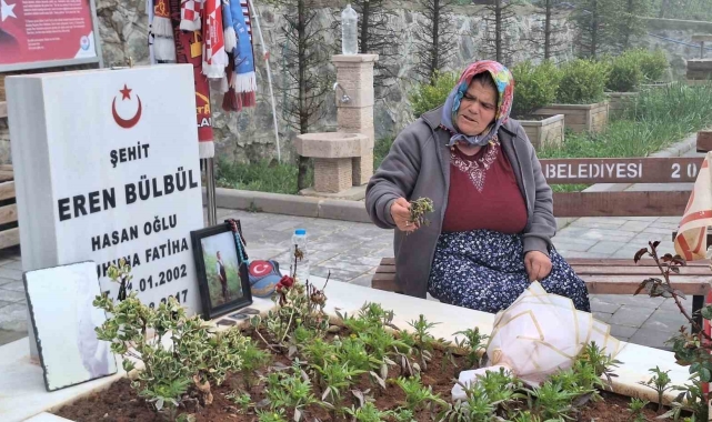 Eren Bülbül'ün annesi Ayşe Bülbül, PKK'nın silah bırakmasını değerlendirdi: "Eren'ler şehit edilmesin, hiçbir Ayşe anne ağlamasın diye onay veririm"