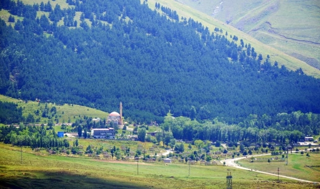 Erzurum'da "Orman Alanları, Ağaçlandırma ve Erozyon Kontrol Sahaları ile ilgili Valilik Genel Emri" yayınlandı