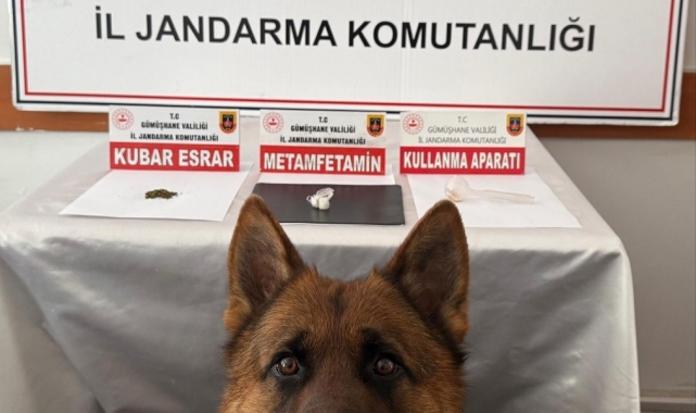Gümüşhane'de uyuşturucu operasyonu