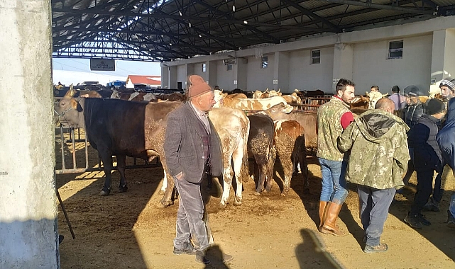 Kurban yaklaştıkça pazarda hareketlilik artıyor