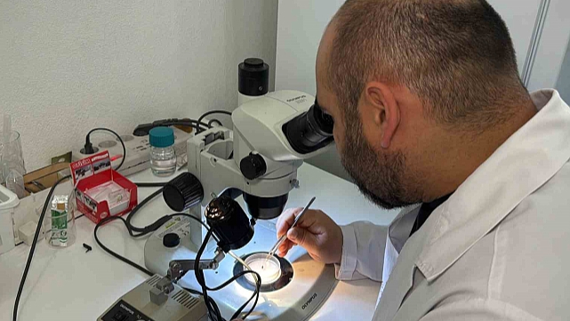 Türkiye'nin kene faunası değişiyor; yeni türler takip altında