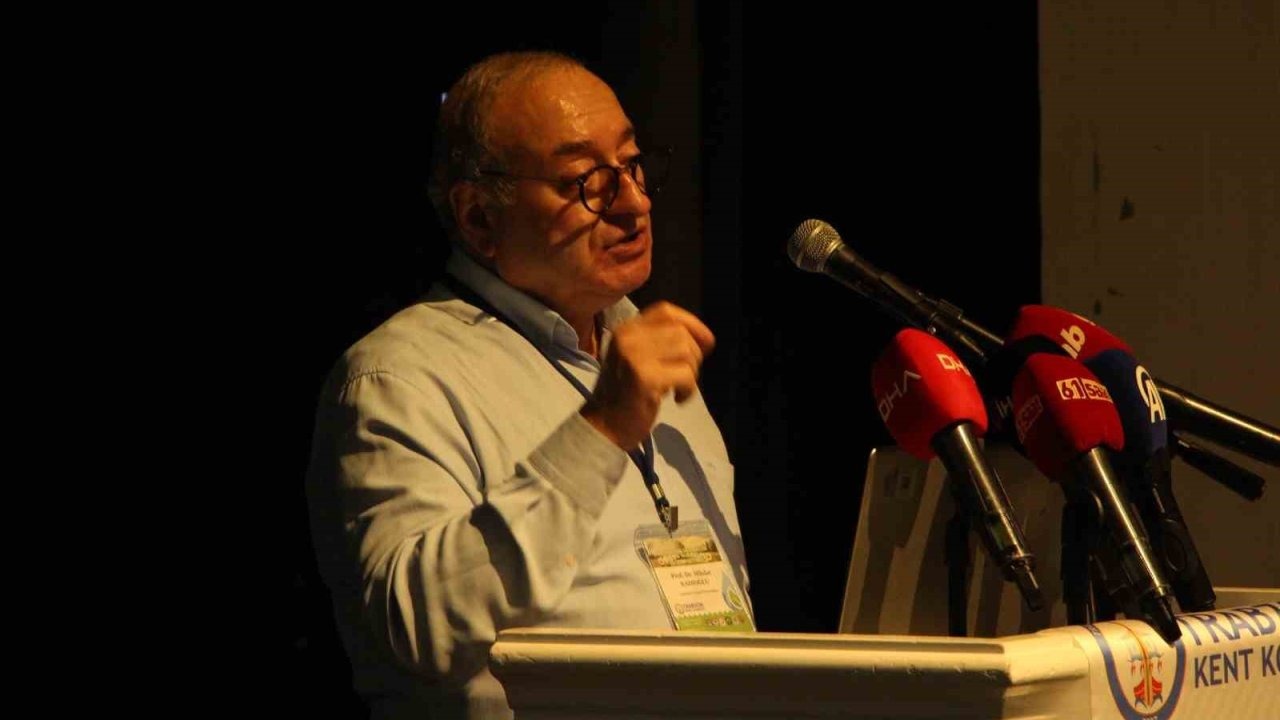 Prof. Dr. Mikdat Kadıoğlu: "Ozon gazı için en iyi ağaç; Türk fındığıymış"