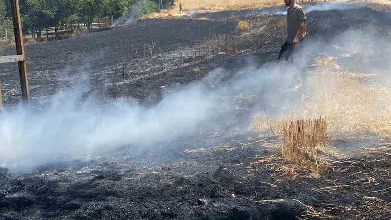 Elazığ’da yangın: Ekili alan küle döndü