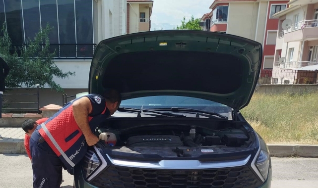 Otomobilin kaput kısmına sıkışan yavru kediler kurtarıldı