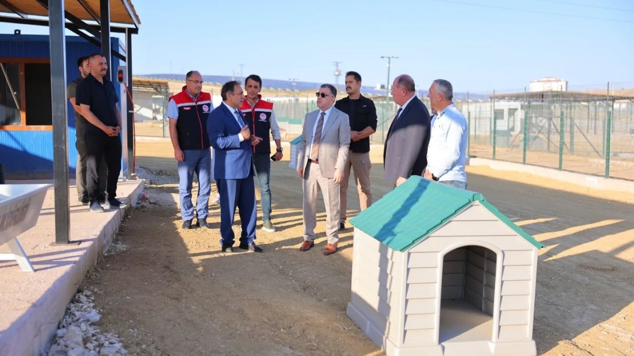 Hayvan barınağında inceleme yapıldı