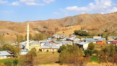 Bergici’de şenlik var