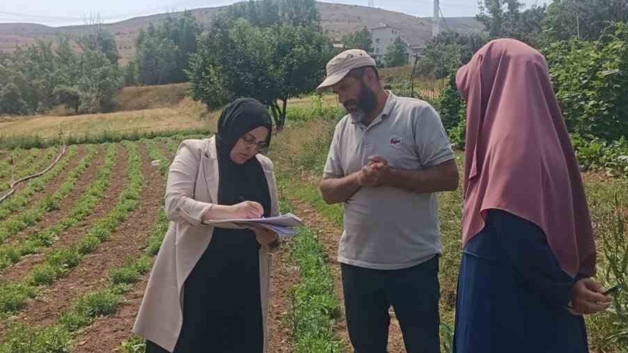 ‘Bayburt Tarhunu’ coğrafi işaret tescilinin ardından ilk kez denetlendi
