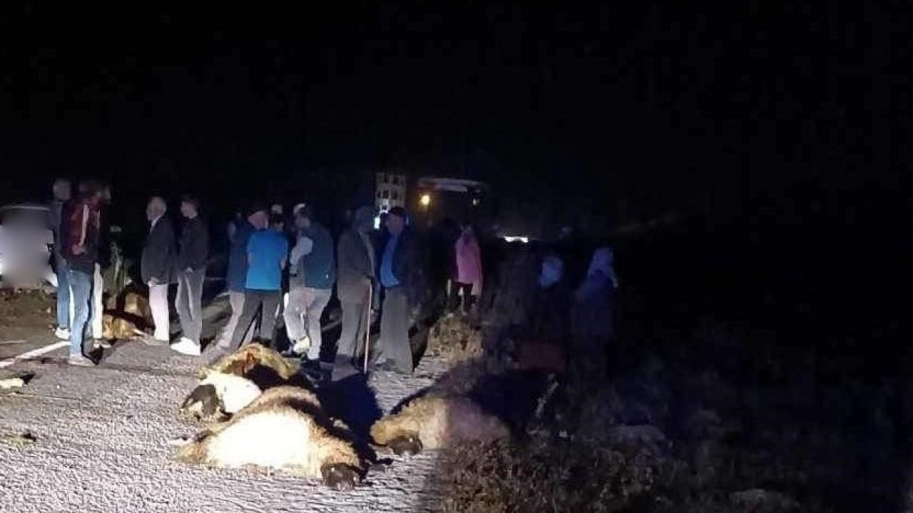 Erzincan’da otomobil koyun sürüsüne daldı