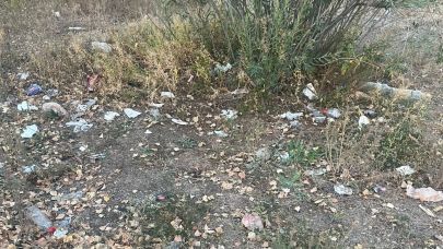 Doğaya saygımız bu mu?