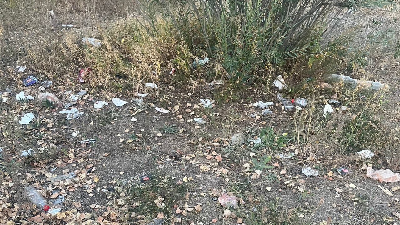 Doğaya saygımız bu mu?