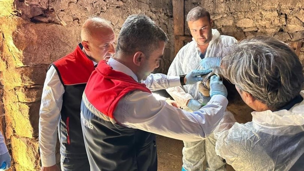 Erzurum’da hastalık takibi kararlılıkla devam ediyor