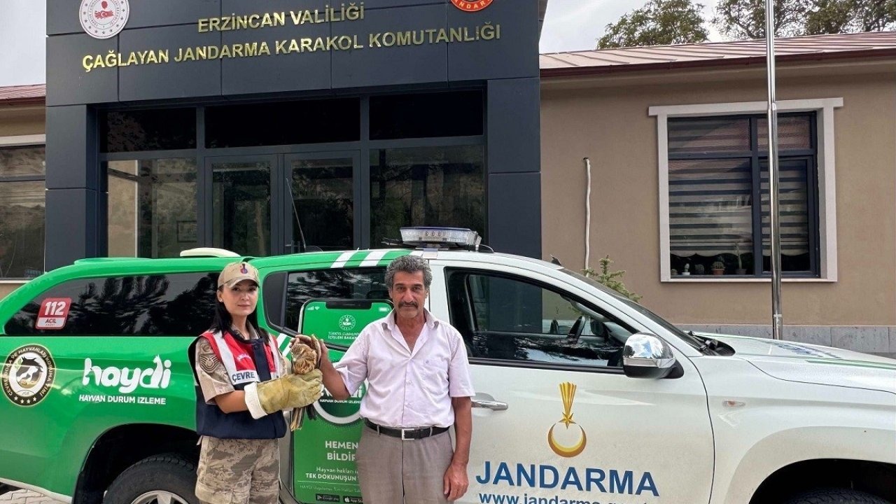 Yaralı Şahin’e jandarmadan şefkat eli