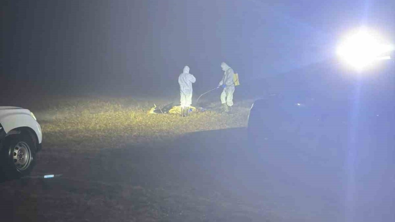 Gümüşhane’de şap hastalığı nedeniyle 5 köy karantinaya alındı